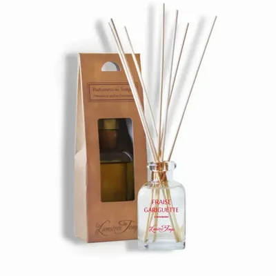 Diffuseurs de parfums - Parfumeur Quadra 100 ml Fraise Gariguette (avec boîte) - LES LUMIERES DU TEMPS