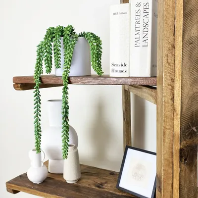 Floral decoration - Artificial Trailing Succulent in Pot - ILARIA.I