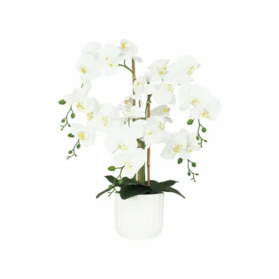 Floral decoration - “Real Touch” Orchid in White Pot - ILARIA.I