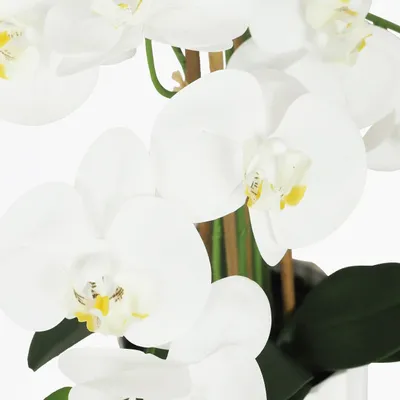 Floral decoration - “Real Touch” Orchid in White Pot - ILARIA.I