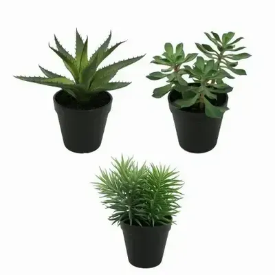 Floral decoration - Assorted Artificial Potted Succulents - ILARIA.I