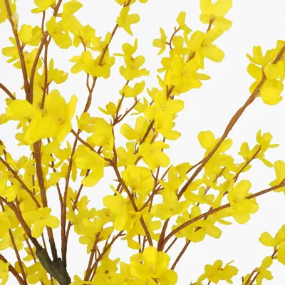 Décorations florales - Forsythia artificiel en pot plastique noir – Jaune - ILARIA.I