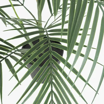 Décorations florales - Palmier artificiel en pot noir - ILARIA.I