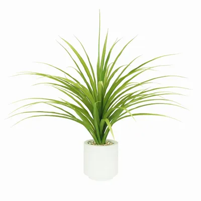 Floral decoration - Artificial Dracaena in White Pot - ILARIA.I