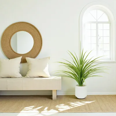 Floral decoration - Artificial Dracaena in White Pot - ILARIA.I