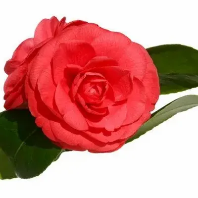 Couteaux - HBE 20251210 modification h - ATELIER ST EUSTACHE MAJ 20251002