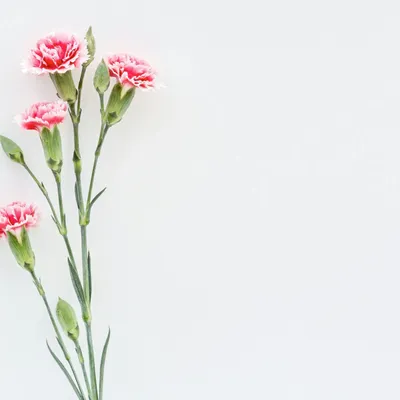 Couteaux - HBE 20251204 h - ATELIER ST EUSTACHE MAJ 20251002