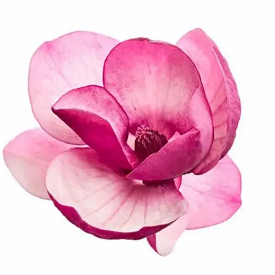 Couteaux - HBE 20251219 modif - ATELIER ST EUSTACHE MAJ 20251002