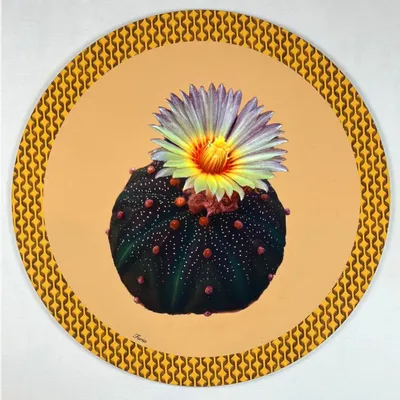 Dessous de plat - Dessous de verre - Cactus Sottobicchiere Rotondo - #01 - MARYNE GUYOT CRÉATIONS