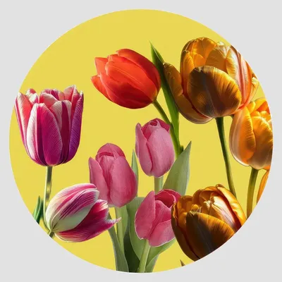 Sets de table - Sets de table - Tulipano Sottopiatto Rotondo - #02 - MARYNE GUYOT CRÉATIONS