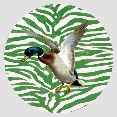 Dessous de plat - Dessous de verre - Anatra Sottobicchiere Rotondo - #06 - SILVA PARIS