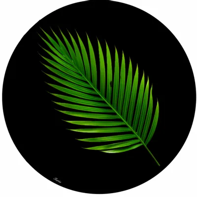 Dessous de plat - Dessous de bouteille - foglie sottobottiglia - #05 - SILVA PARIS