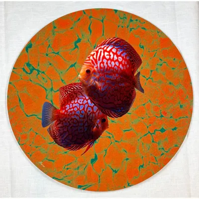 Sets de table - Sets de table - pesci sottopiatto rotondo - #01 - BRAINSTREAM GMBH