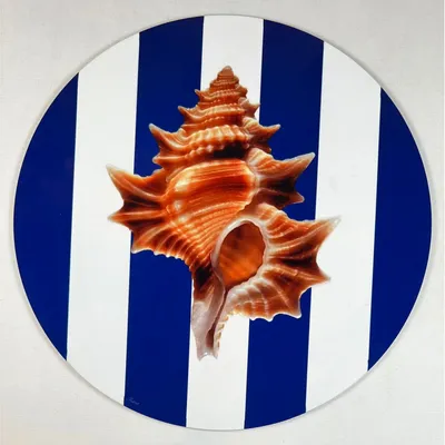 Dessous de plat - Dessous de bouteille - Conchiglia Sottobottiglia - #03 - BRAINSTREAM GMBH