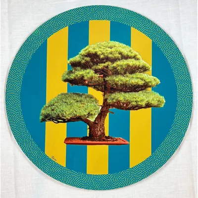 Sets de table - Sets de table - Bonsai Sottopiatto Rotondo - #06 - BRAINSTREAM GMBH