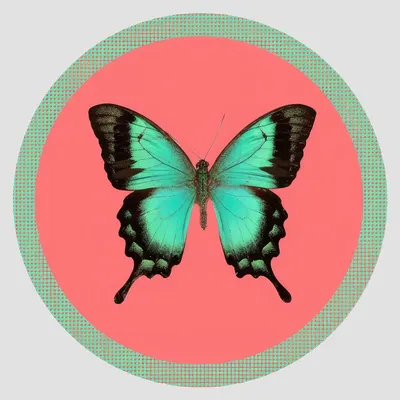 Dessous de plat - Dessous de verre - Farfalla 2.0 Sottobicchiere Rotondo - #04 - BRAINSTREAM GMBH