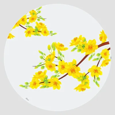 Dessous de plat - Dessous de verre - Giafiori Sottobicchiere Rotondo - #01 - BRAINSTREAM GMBH