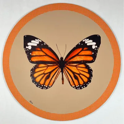 Dessous de plat - Dessous de verre - Farfalla 2.0 Sottobicchiere Rotondo - #02 - ILARIA.I