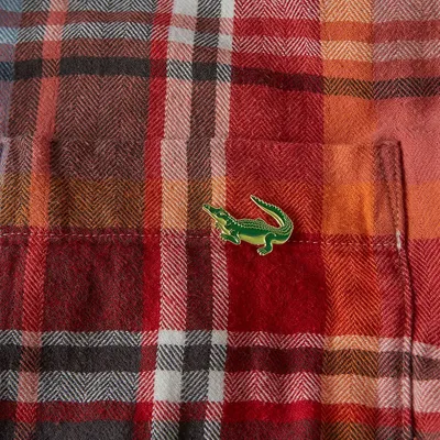 Decorative frescoes - Pin Crocodile - ILARIA.I