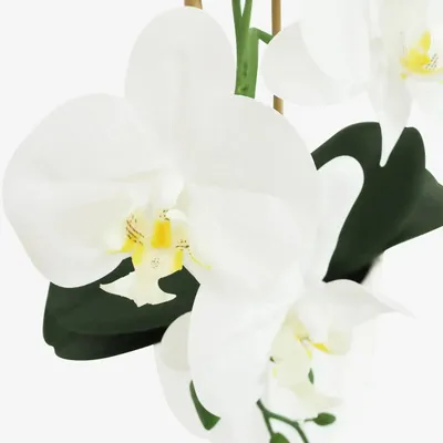 Floral decoration - “Real Touch” Orchid in White Pot - ILARIA.I
