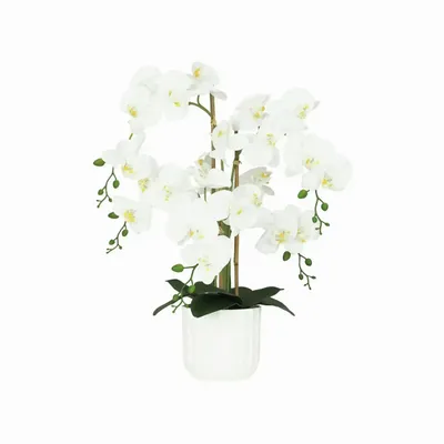 Décorations florales - Orchidée “toucher naturel” en pot blanc - ILARIA.I