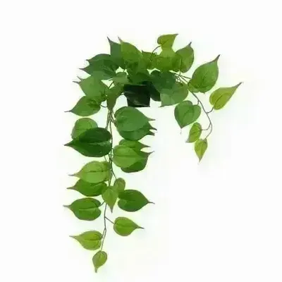Décorations florales - Pothos retombant “toucher naturel” - ILARIA.I