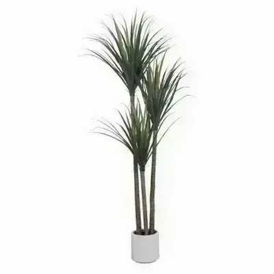 Floral decoration - Artificial dracaena, 3 heads, white plastic pot - ILARIA.I