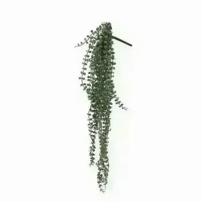 Décorations florales - Chute artificielle de Ceropegia Woodii - ILARIA.I