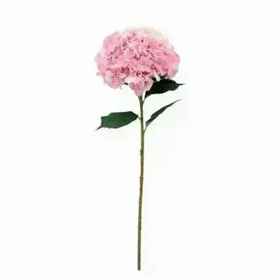 Décorations florales - Tige d’hortensia géant artificielle – Rose - ILARIA.I