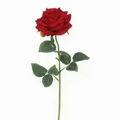 Décorations florales - Tige de rose artificielle – Rouge - ILARIA.I