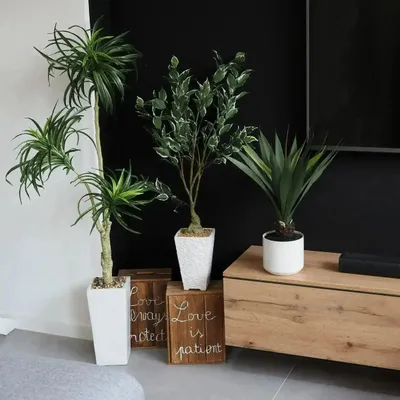 Décorations florales - Ficus artificiel en pot céramique blanc mat - ILARIA.I
