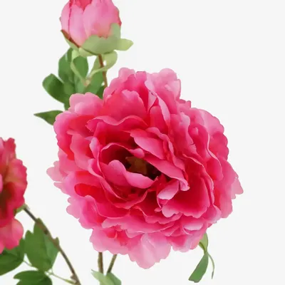 Décorations florales - Tige de pivoines artificielles – 2 fleurs et 1 bourgeon �� Rose - ILARIA.I