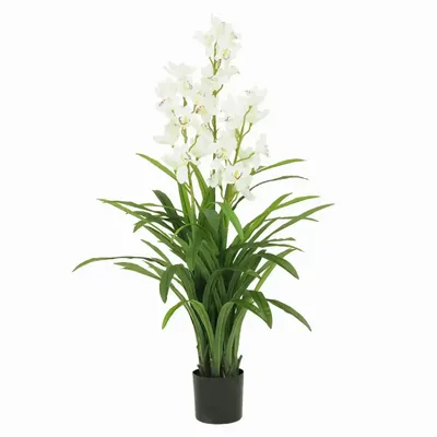 Décorations florales - Cymbidium artificiel 30 fleurs, 60 feuilles en pot blanc - ILARIA.I