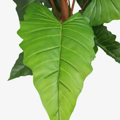 Floral decoration - “Real Touch” Artificial Alocasia - ILARIA.I