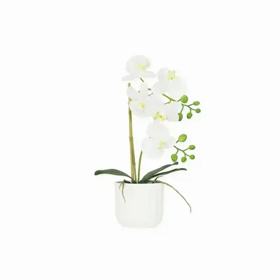 Décorations florales - Orchidée “toucher naturel” en pot blanc - ILARIA.I