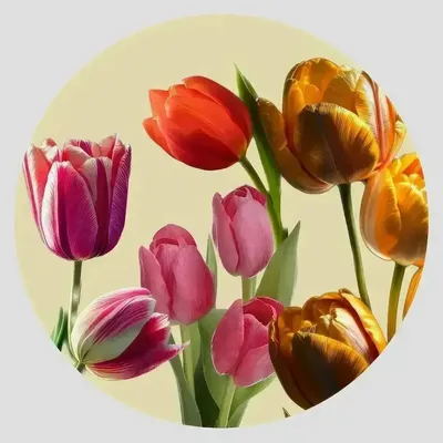 Placemats - placemats - Tulipano Sottopiatto Rotondo - #03 - ILARIA.I