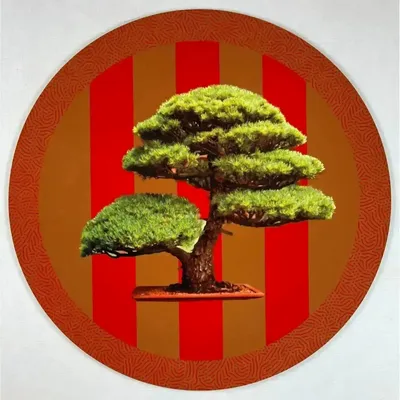 Table mat - Bottle coaster - Bonsai Sottobottiglia - #05 - ILARIA.I