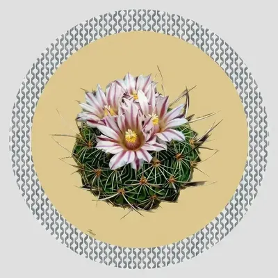 Dessous de plat - Dessous de bouteille - Cactus Sottobottiglia Rotondo - #03 - ILARIA.I