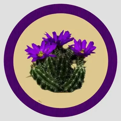 Dessous de plat - Dessous de bouteille - Cactus Sottobottiglia Rotondo - #05 - ILARIA.I