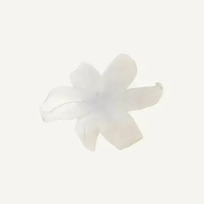 Jewelry - 5 petals flower brooch pin - Lis Blanc - ILARIA.I