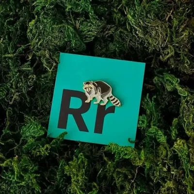 Fresques décoratives - Pin Racoon - ILARIA.I