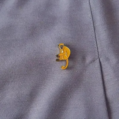 Decorative frescoes - Pin Monkey - ILARIA.I
