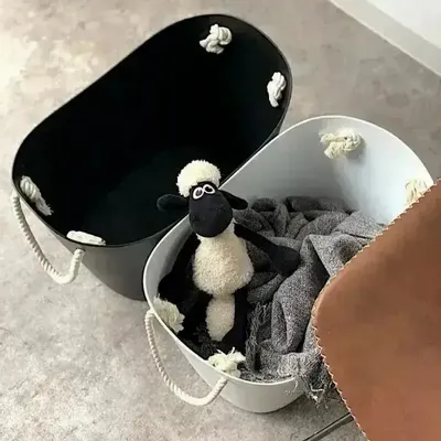 Paniers à linge - Rangement Balcolore 19L - ILARIA.I