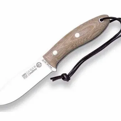 Bureaux d'entreprise - Couteau test 100726 - ASIATIDES