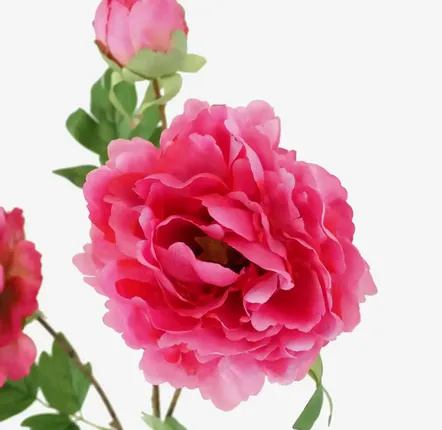 Décorations florales - Tige de pivoines artificielles – 2 fleurs et 1 bourgeon �� Rose - ILARIA.I