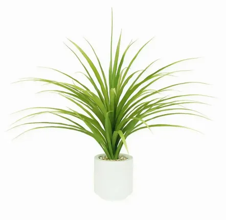Décorations florales - Dracaena artificielle en pot blanc - ILARIA.I