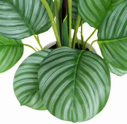 Décorations florales - Calathea artificielle “toucher naturel” - ILARIA.I