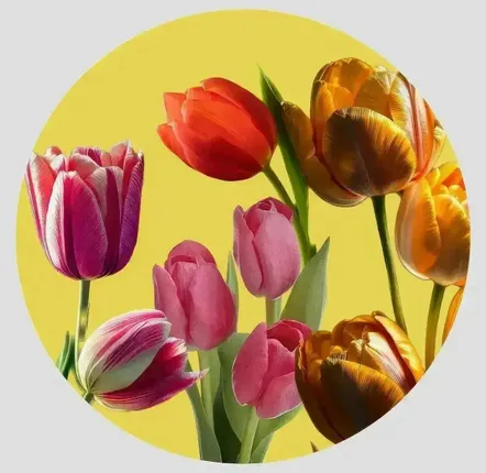 Table mat - Coasters - Tulipano Sottobicchiere Rotondo - #02 - ILARIA.I