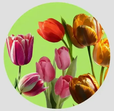 Table mat - Bottle coaster - Tulipano Sottobottiglia Rotondo - #01 - ILARIA.I