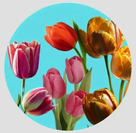 Table mat - Bottle coaster - Tulipano Sottobottiglia Rotondo - #04 - ILARIA.I